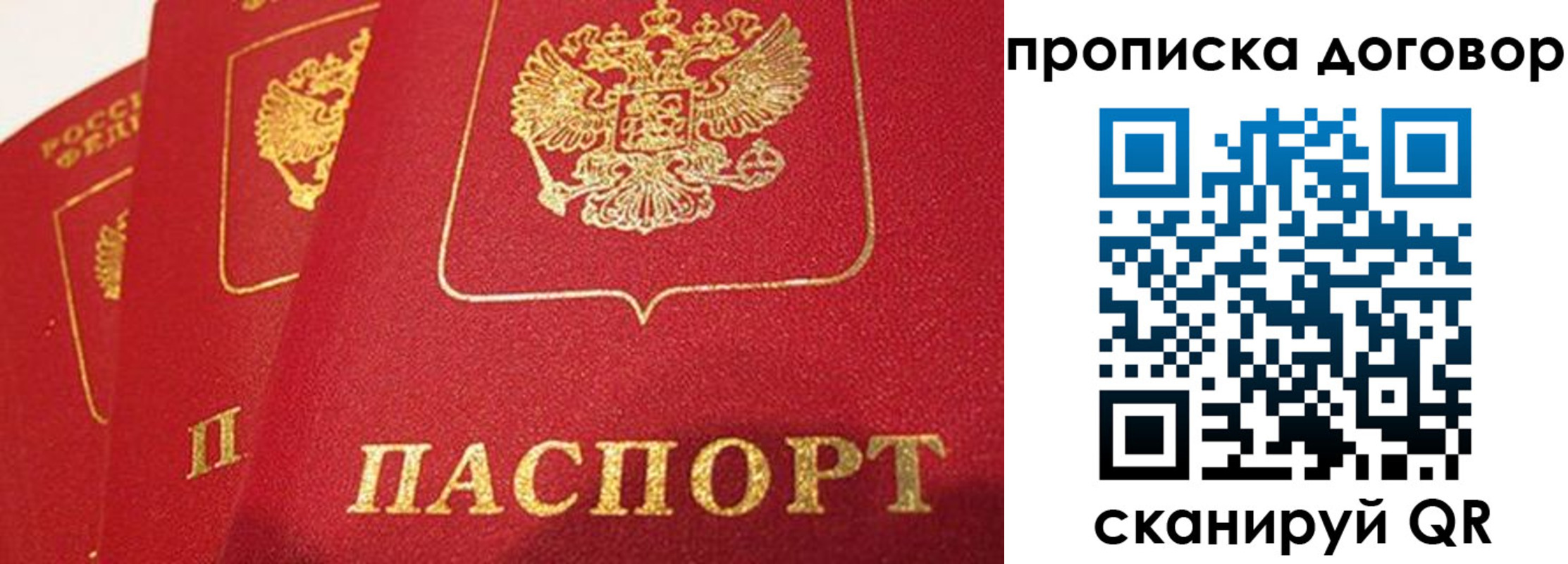 временная регистрация госуслуги в Палласовке